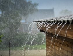 Hujan Ringan Hingga Sedang Masih Guyur Kepulauan Sula dan Taliabu, Warga Diminta Waspada