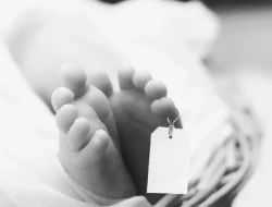 Kumpul Besi dan Kaleng Bekas, Pria 42 Tahun di Ternate Temukan Bayi Tak Bernyawa