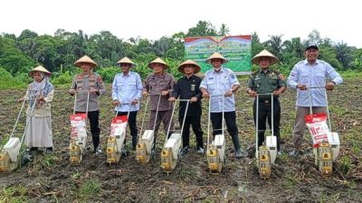 Wakil Bupati Halsel Ikut Penanaman Jagung Kuartal IV Serentak Seluruh Indonesia