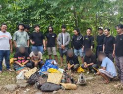Polisi Tetapkan 16 Orang Sebagai Tersangka Judi Sabung Ayam dan Dadu di Ternate