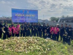 Panen Tiga Ton Jagung, Kombes Suhendro: Ini Upaya Brimob Membuahkan Hasil Pangan di Lingkunan Polri