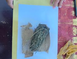 Rutan Kelas IIB Ternate Gagalkan Penyelundupan Satu Paket Ganja