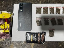 Mengedarkan Narkoba, Seorang Pemuda di Ternate Ditangkap Polisi