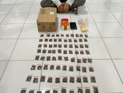 Edarkan Ganja 84 Sachet di Halmahera Tengah, Seorang Pria Ditangkap Polisi