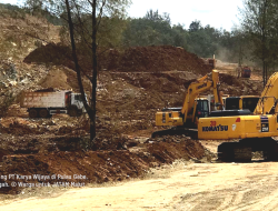 JATAM: Empat Perusahaan Tambang di Malut Harus Ditindak Tegas, Denda tak Cukup