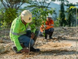 Pulihkan 232,69 Hektare Lahan Pascatambang, NHM Tegaskan Komitmen ESG