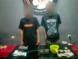 Polisi Ringkus Pria Terduga Penanam Ganja di Tidore Bersama Rekannya