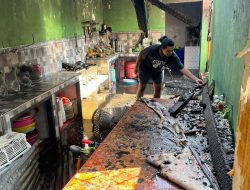 Si Jago Merah Mengamuk, Rumah Seorang Guru di Ternate Ludes Terbakar