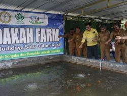 Bangun Fondasi Ekonomi Desa, NHM Bangun Tambak Budidaya Ikan Nila