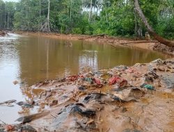 PT Feni Diduga Cemari Sungai dan Teluk Buli, Pemerintah Diminta Tindak Tegas