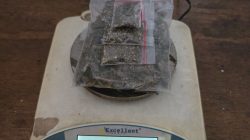 Polres Halmahera Tengah Ungkap 45,11 Gram Ganja, Terduga Pelaku Diamankan