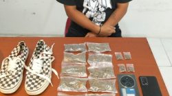 Diduga Mengedarkan Ganja, Pria di Ternate Ditangkap Ditresnarkoba Polda Maluku Utara