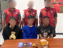 Ungkap Peredaran Ganja, Polda Maluku Utara Tangkap Tiga Terduga Pelaku