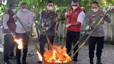 Polda Maluku Utara Musnahkan 9,5 Gram Sabu dan 211,1 Gram Ganja