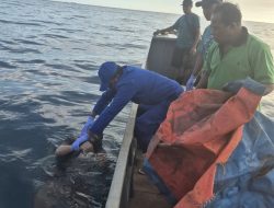 Satu Pekerja Tambang di Pulau Obi Ditemukan Meninggal Dunia di Perairan Desa Kawasi