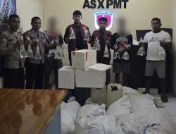 Polsek Ibu Amankan 960 Kantong Cap Tikus Siap Edar
