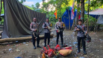 Polsubsektor Weda Tengah Tertibkan Arena Judi Sabu Ayam, Terduga Pelaku Melarikan Diri