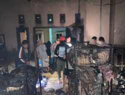 Satreskrim Polres Ternate Selidiki Penyebab Kebakaran Ruko Rahma Grosir di Bastiong