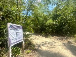 Tidak Mencantumkan Nilai Kontrak dan Perusahaan Pelaksana, Proyek Dinas Pertanian Maluku Utara Diselidiki