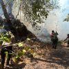 Kebakaran Hutan dan Lahan di Kelurahan Tubo, Ternate Berhasil Dipadamkan