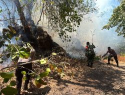 Kebakaran Hutan dan Lahan di Kelurahan Tubo, Ternate Berhasil Dipadamkan