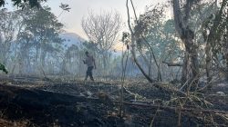 Polsek Ternate Utara Dalami Penyebab Kebakaran di Kelurahan Sango