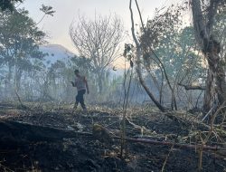 Polsek Ternate Utara Dalami Penyebab Kebakaran di Kelurahan Sango