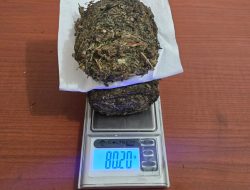 Polres Halmahera Tengah Tangkap Seorang Perempuan Diduga Edarkan 80,20 Gram Ganja