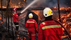 Aktifkan Emergency Management Team, NHM Perkuat Penanganan Karhutla