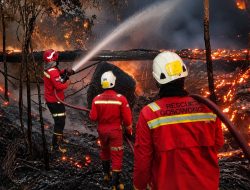 Aktifkan Emergency Management Team, NHM Perkuat Penanganan Karhutla