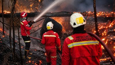 Aktifkan Emergency Management Team, NHM Perkuat Penanganan Karhutla