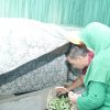 Hormati Jasa Pahlawan, Pangdam MKR dan Ketua Persit Ziarah Makam Sultam Baabullah Ternate